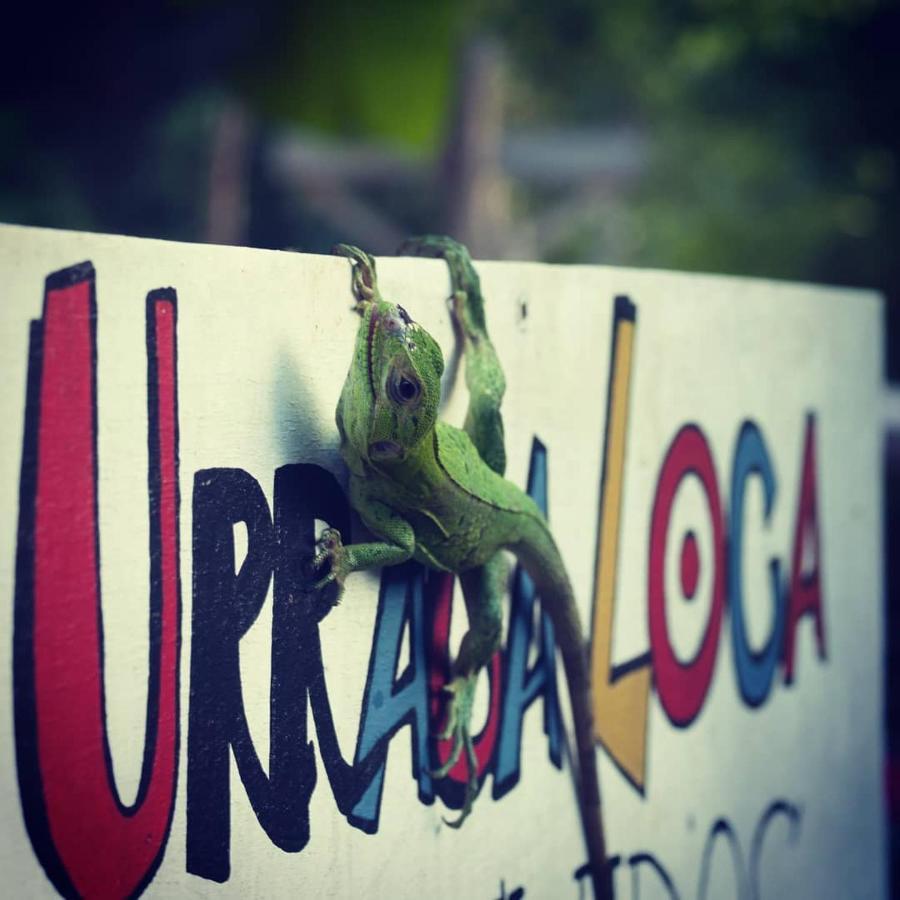 La Urraca Loca Hostel Balgue 外观 照片