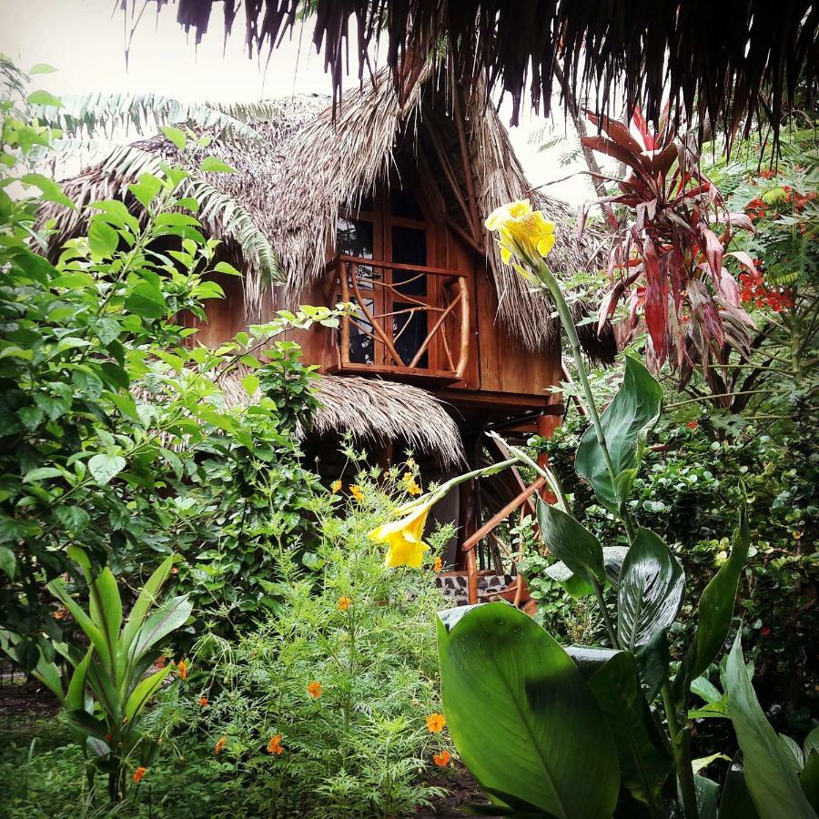La Urraca Loca Hostel Balgue 外观 照片